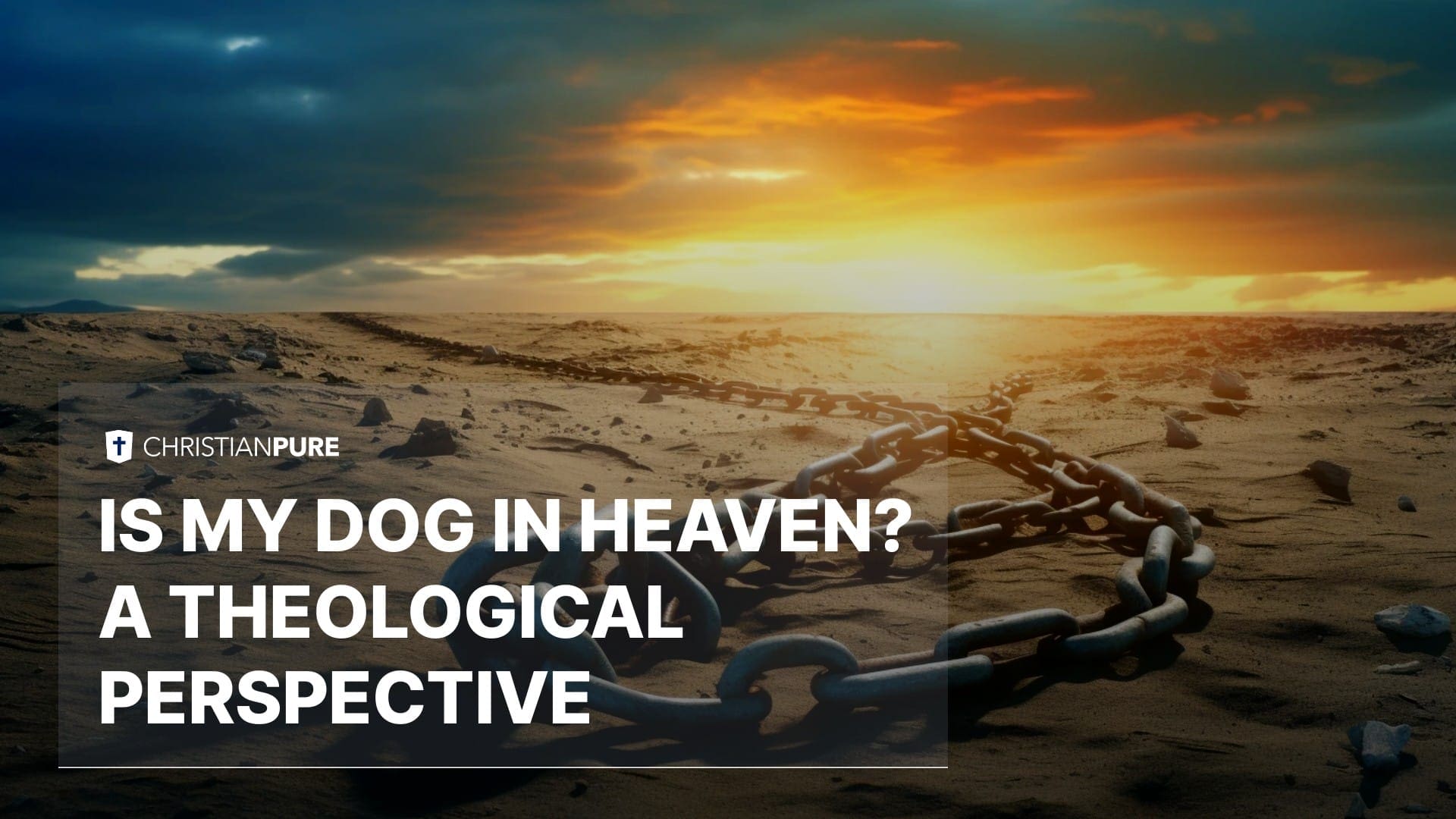 Il mio cane è in paradiso? Una prospettiva teologica