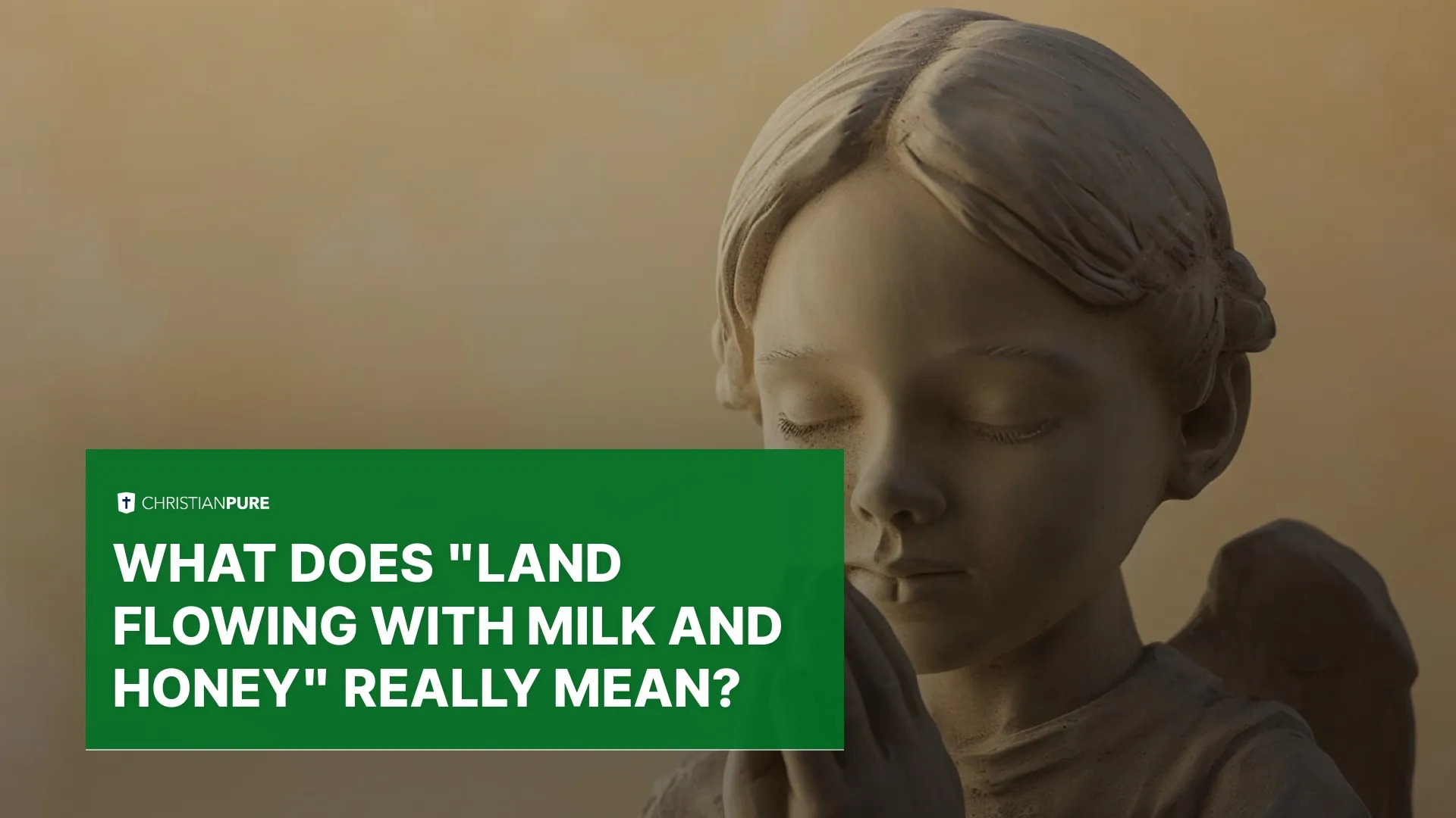Библейские тайны: Что на самом деле означает «Земля с молоком и медом»? Библейские тайны: Что на самом деле означает «Земля с молоком и медом»?