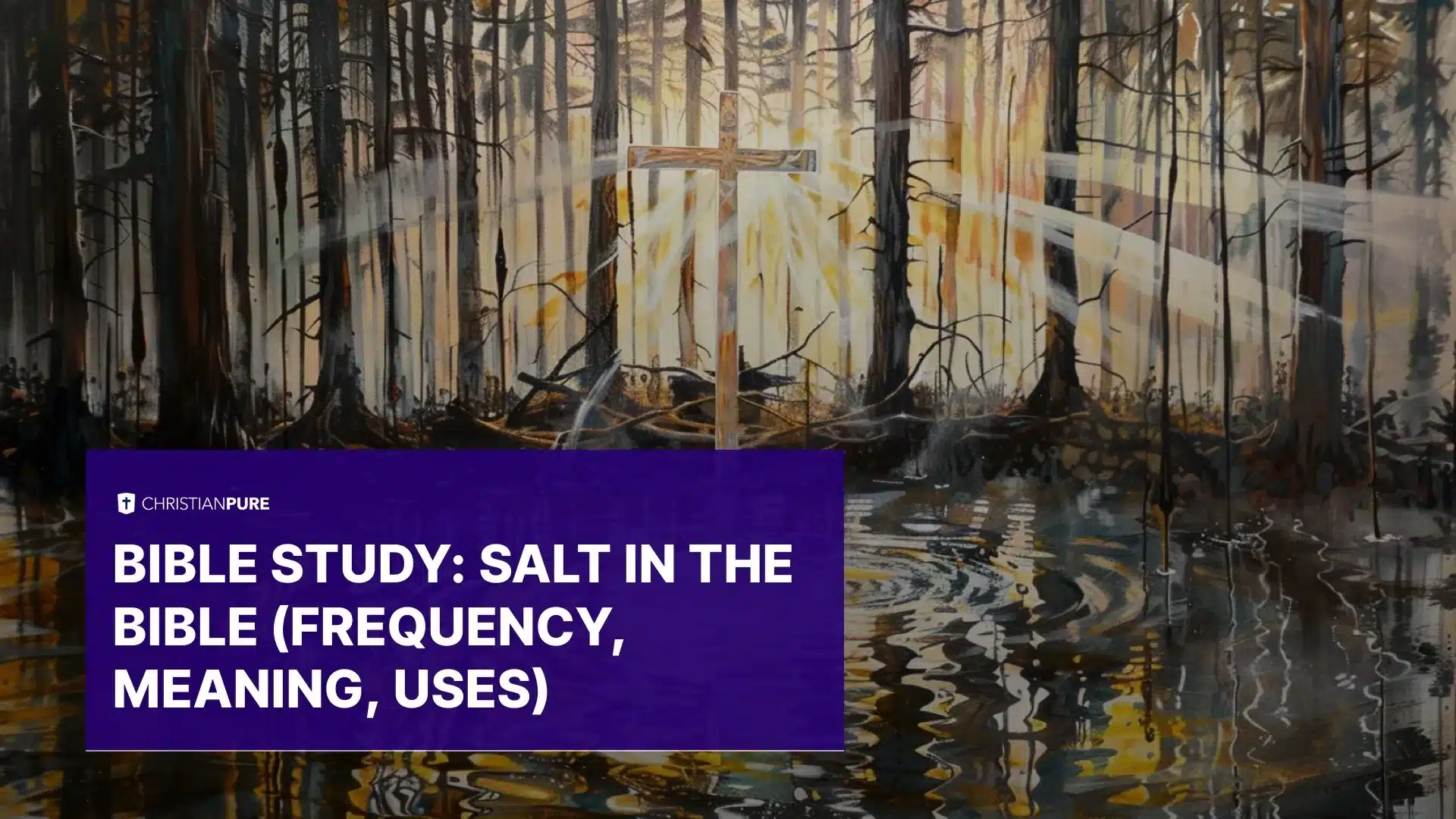 圣经研究： 《聖經中的鹽》(Frequency, Meaning, Uses)
