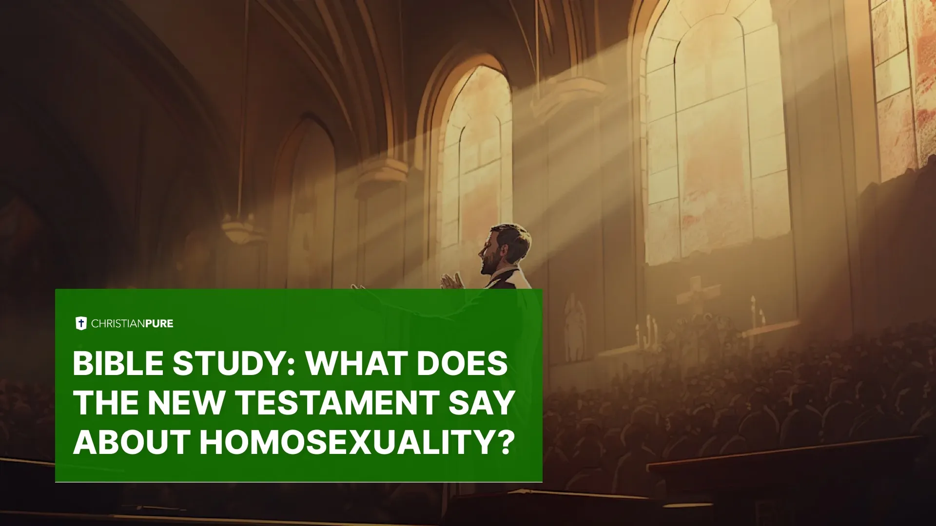 Bible Study: What Does the New Testament say About Homosexuality? Bible Study: What Does the New Testament say About Homosexuality?
