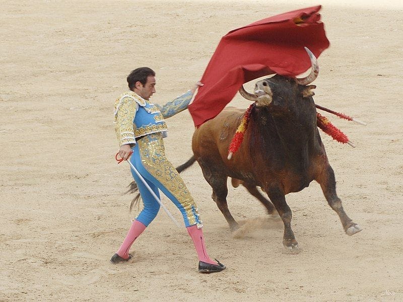Priest partners with PETA to condemn bullfighting, calls on Pope Francis to denounce it