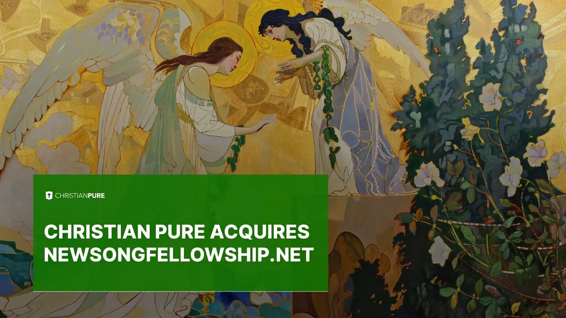 Christian Pure收购newsongfellowship.net