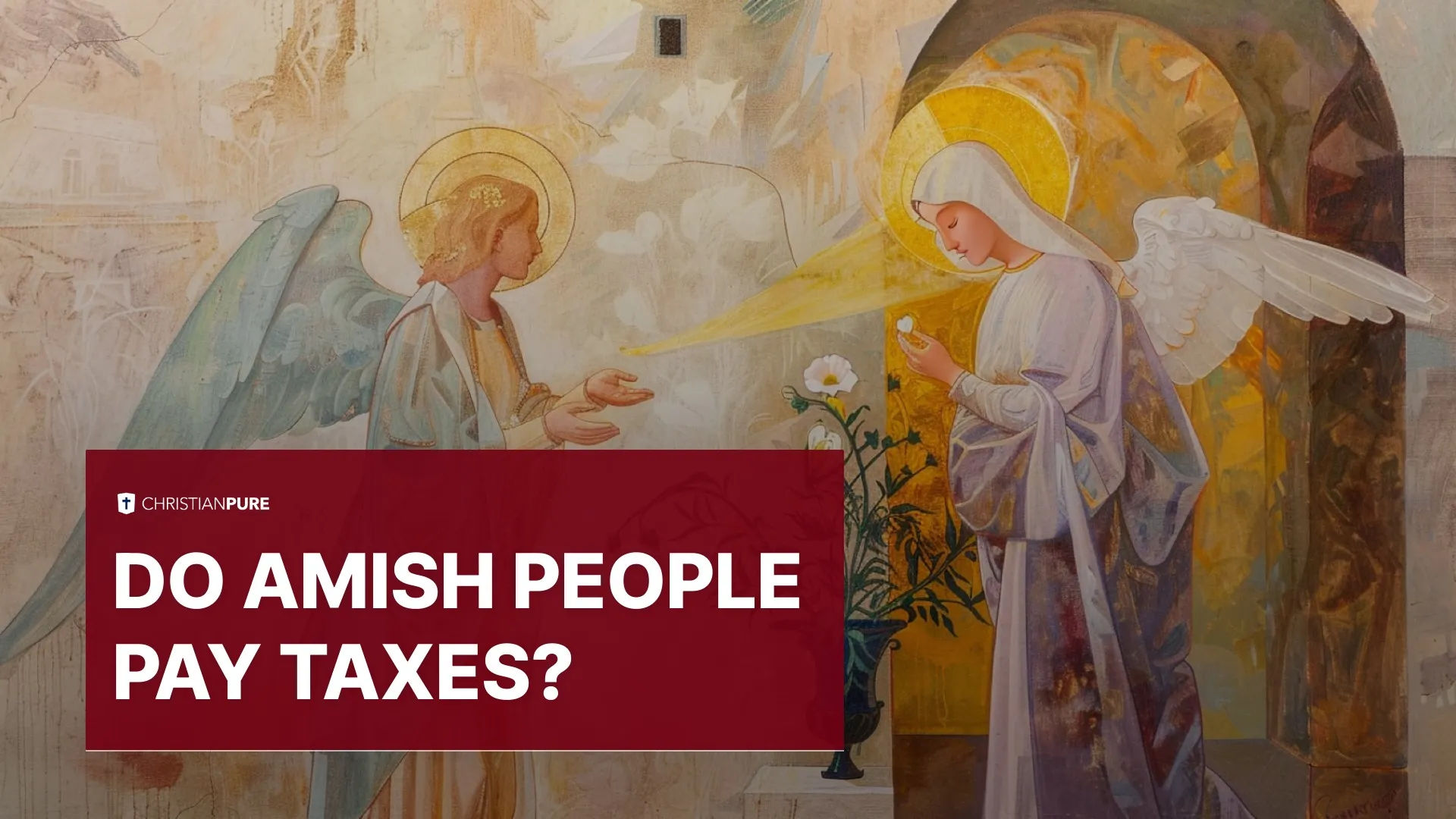 Os amish pagam impostos?