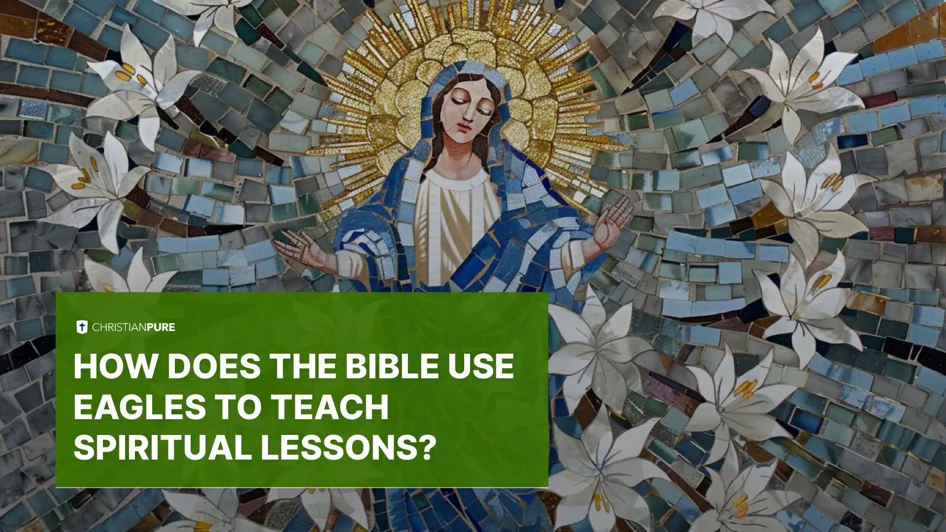 圣经如何使用老鹰来教导灵性教训？