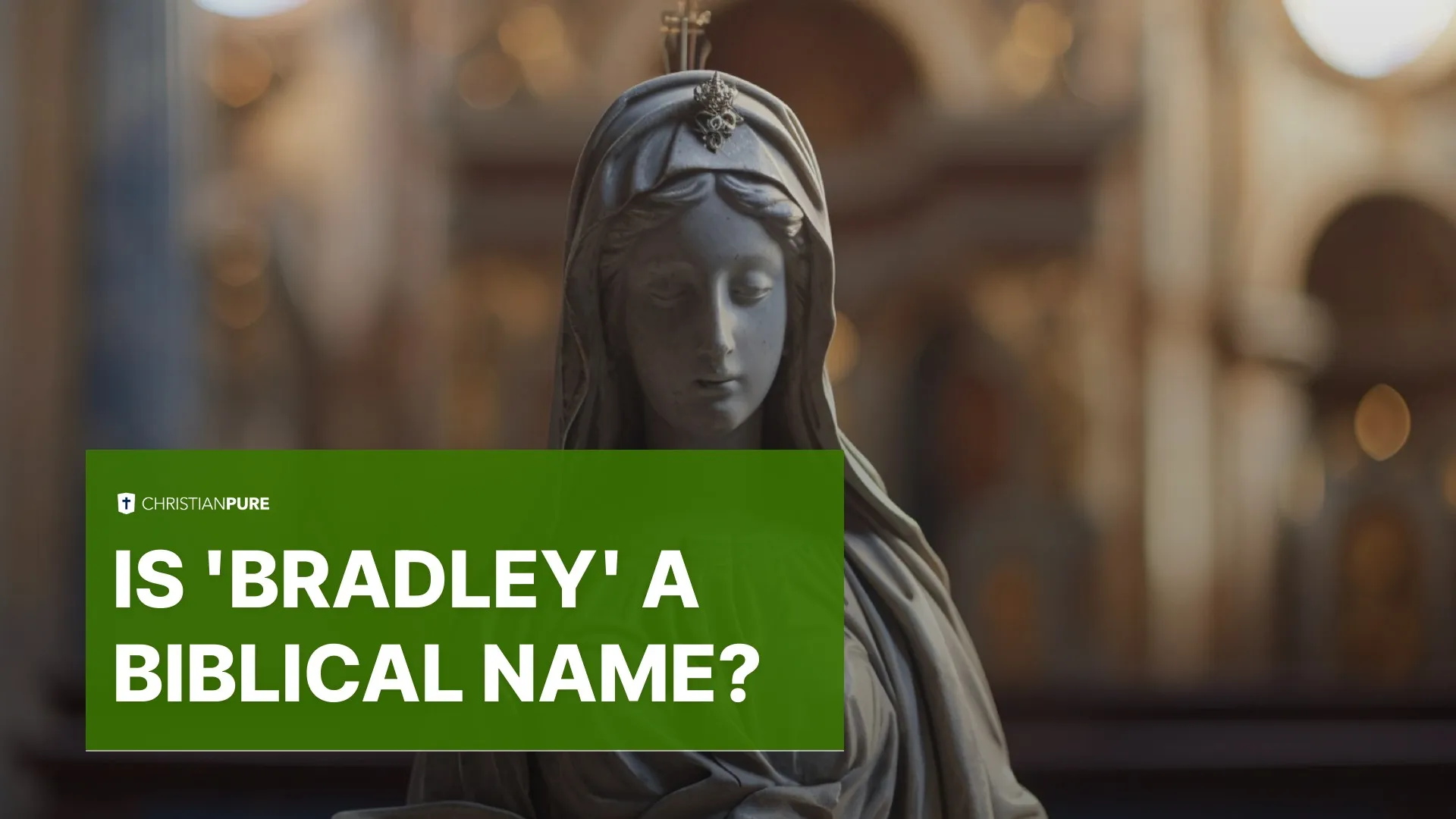 هل "برادلي" اسم كتابي؟ هل "برادلي" اسم كتابي؟