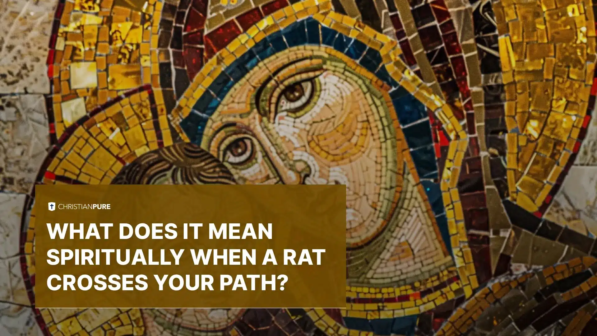 当老鼠穿过你的道路时，精神上意味着什么？