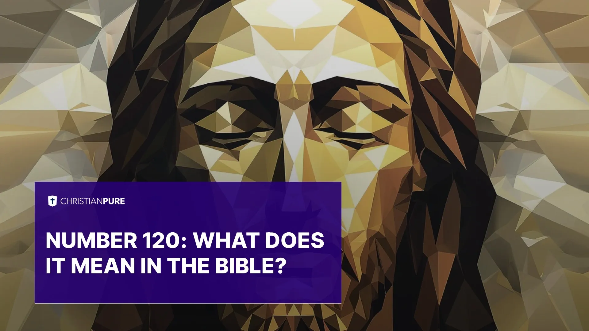 第120章： 这在圣经中意味着什么？