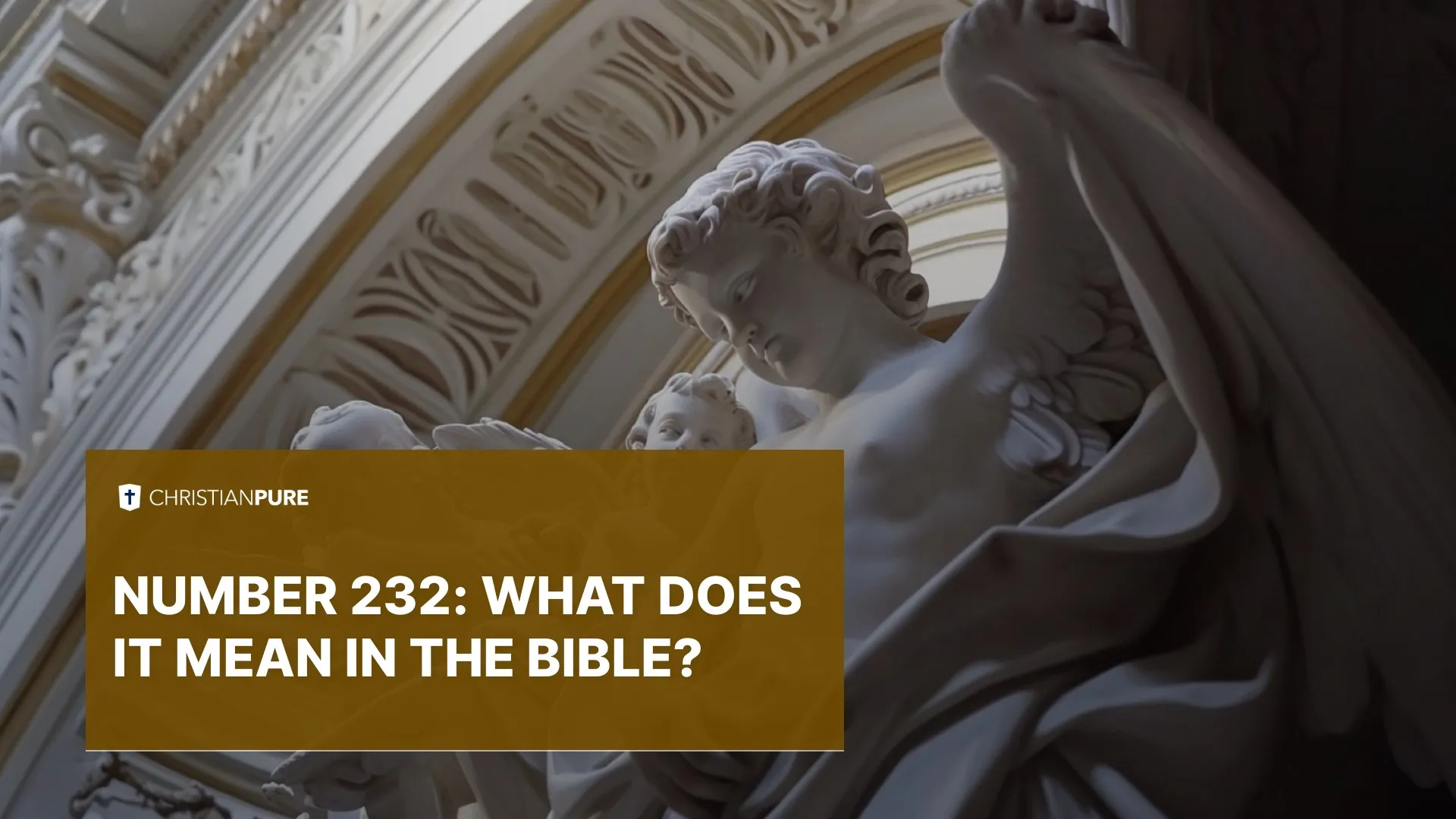 第232章： 这在圣经中意味着什么？