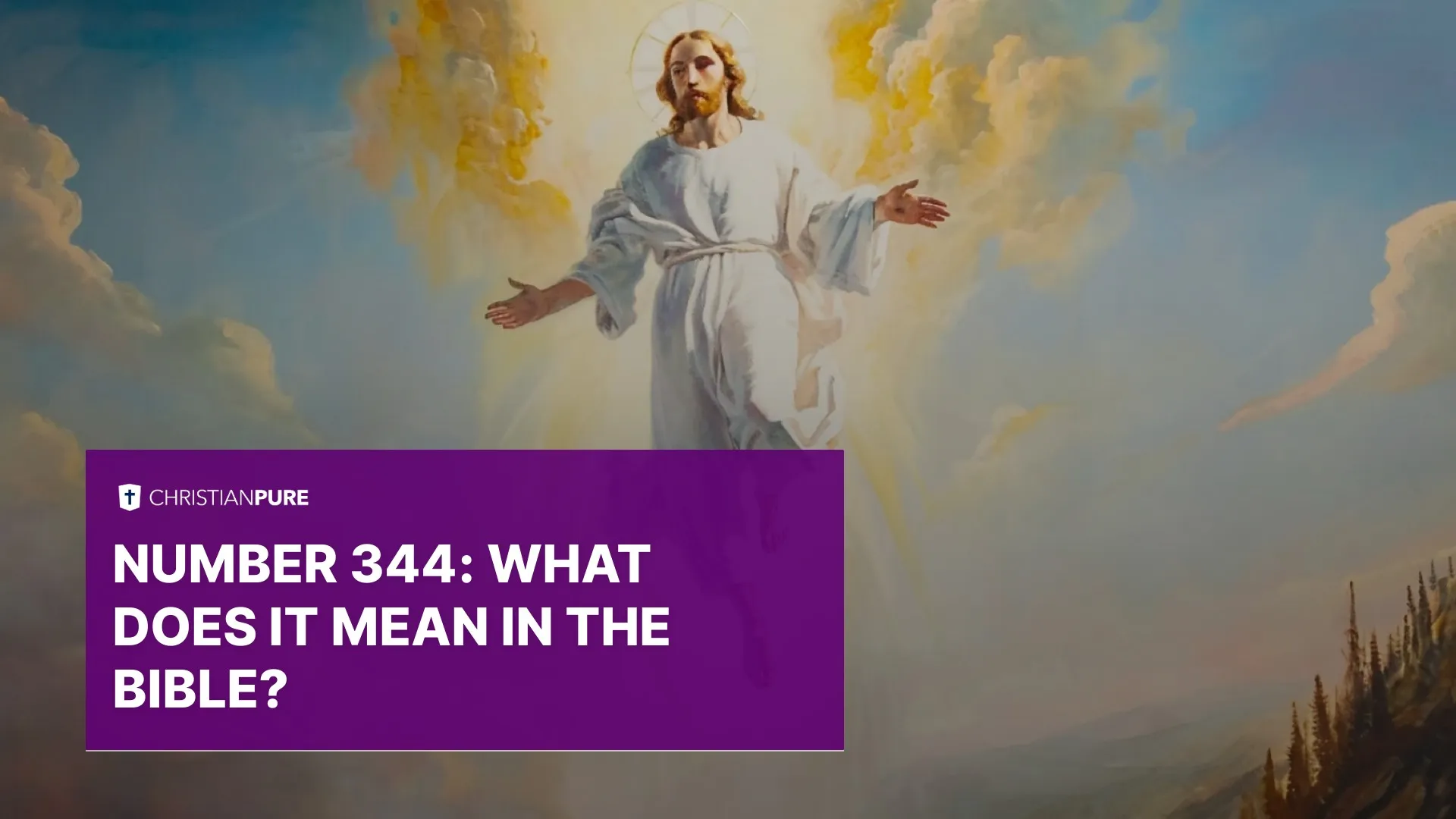 Número 344: O que isso significa na Bíblia?