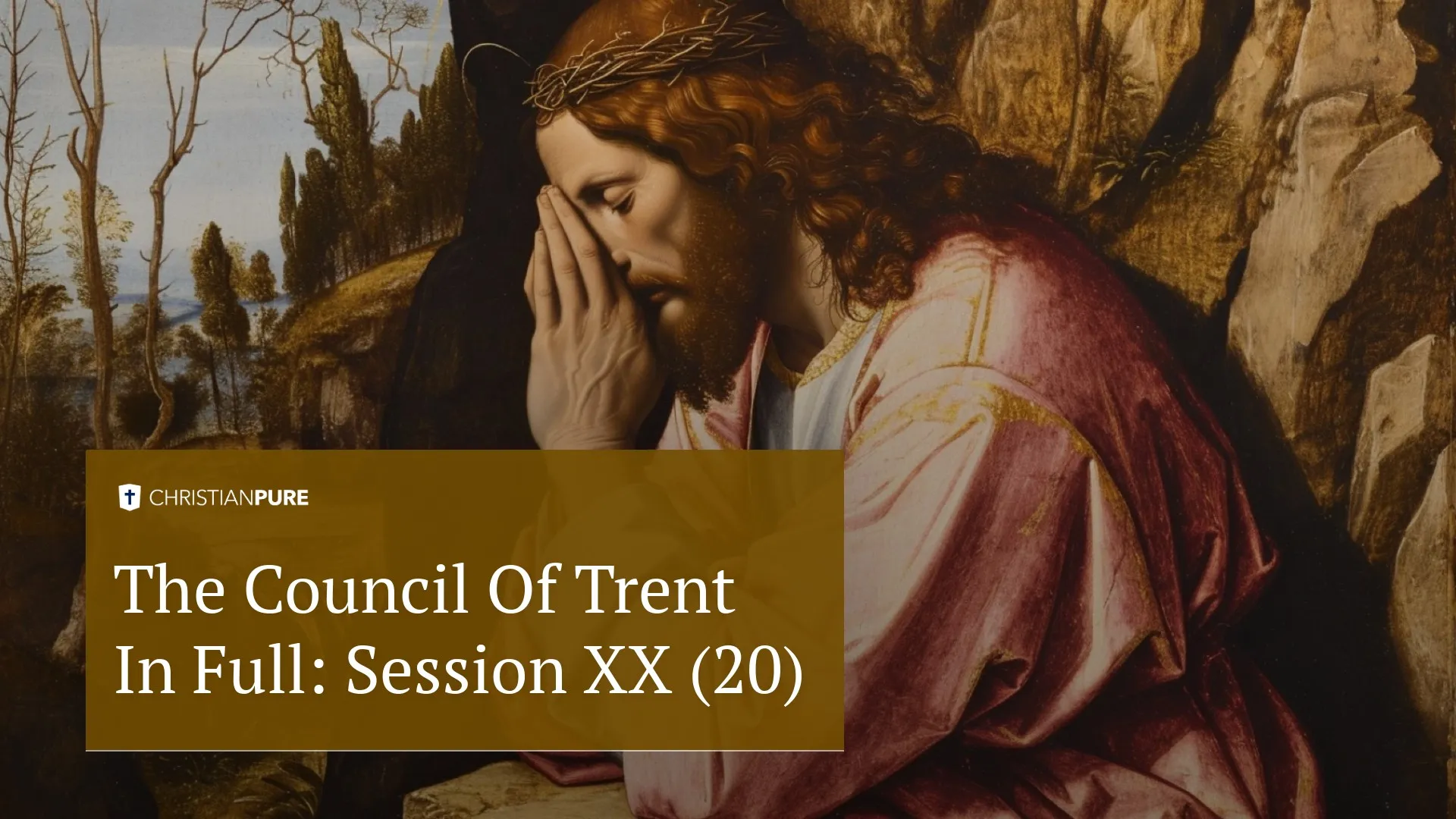 Христианская история: Совет Трента в полном объеме: XX сессия (20)