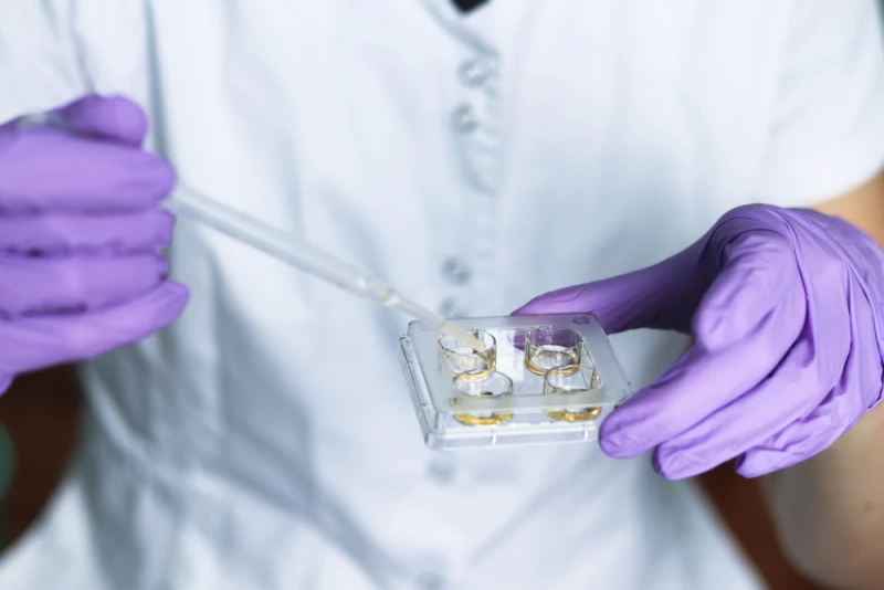 Une nouvelle entreprise américaine de dépistage des embryons soulève le spectre des «bébés concepteurs»