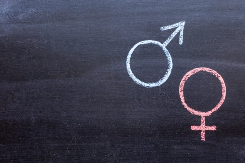 Neue Umfrage zeigt, dass mehr Amerikaner die Priorisierung von „Geburtsgeschlecht“ gegenüber „Geschlechtsidentität“ unterstützen