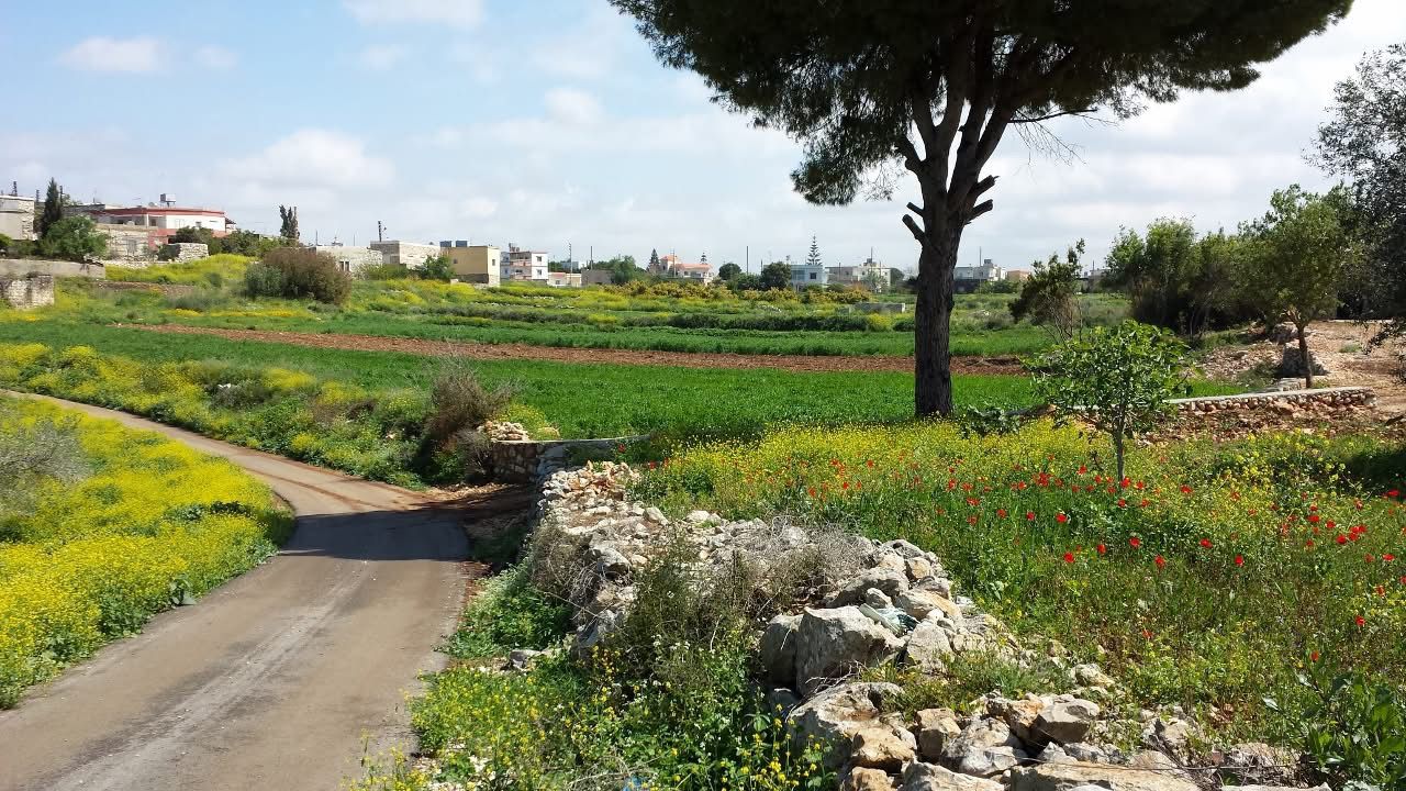 Cristianos en el sur del Líbano se niegan a abandonar sus pueblos a medida que la guerra se intensifica